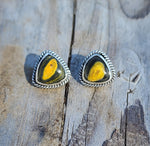 Bumblebee Jasper Studs #613