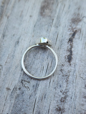 
            
                Load image into Gallery viewer, Dainty White Buffalo Ring Size 5.5 #609
            
        