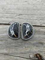 Large White Buffalo Studs #231